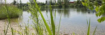Strombucht, orilla de arena fina 