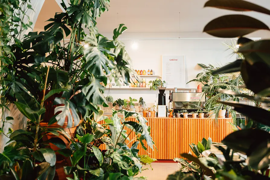 Calienna, Café, Innenansicht