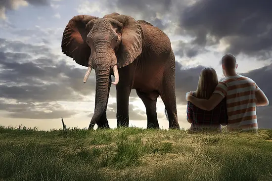 Immersium museum, interactive exhibition on animals